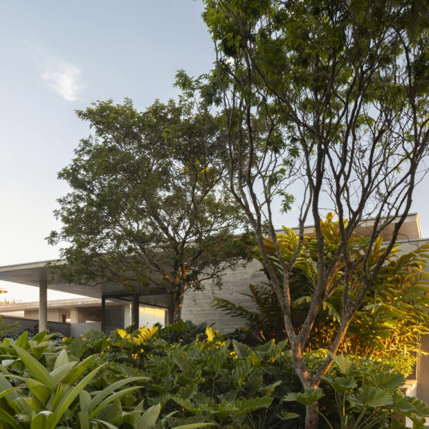Como levar árvores frutíferas para o paisagismo residencial
